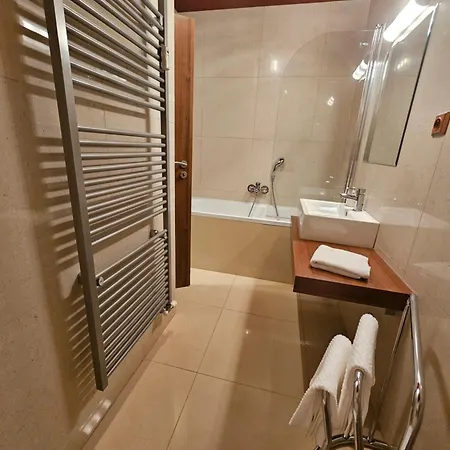 Ela - C102 ヴェルカー・ロムニツァ